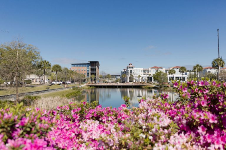 36 Hours Visiting Daniel Island Island Park Properties